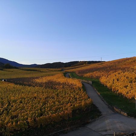 Appartamento L'Horizon Bergheim Esterno foto