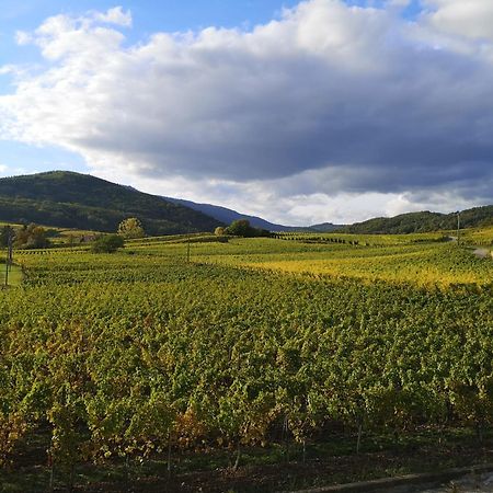 Appartamento L'Horizon Bergheim Esterno foto